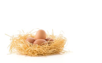 Jaje &ndash; sve o domaćim jajima